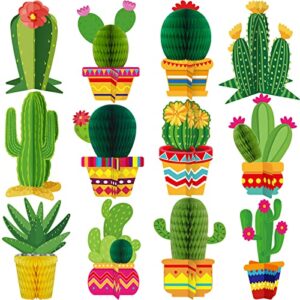 Mejores Review On Line Centro Cactus Al Mejor Precio