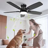 Mejores Review On Line Ventiladores De Techo Top Cinco