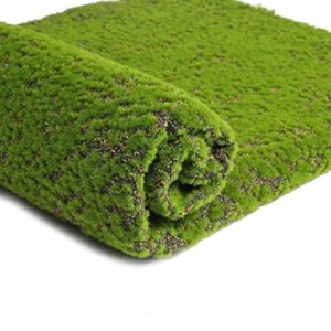 La Mejor Seleccion De Tiendas De Plantas Naturales Favoritos De Las Personas
