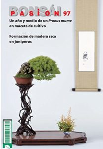 El Mejor Review De Bonsai Pasion Tabla Con Los Diez Mejores