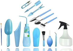 Review De Comprar Suculentas Los 10 Mejores