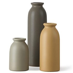Review De Jarrones Decorativos De Esta Semana