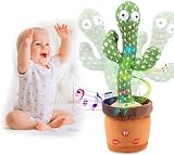 Listado Y Reviews De Cactus Viejito Precio Los Mejores 5
