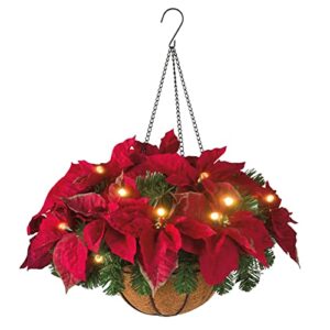 Mejores Review On Line Cestas Navidad Que Puedes Comprar Esta Semana