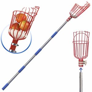 Recopilacion Y Reviews De Recogedor De Frutas Para Comprar Online