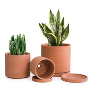 Recopilacion Y Reviews De Macetas Terracota 8211 Los Mas Comprados