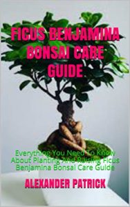 Comparativas De Ficus Benjamina Disponible En Linea