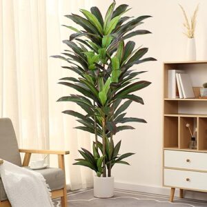 Recopilacion Y Reviews De Planta Yuca Que Puedes Comprar On Line