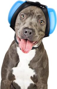 Reviews Y Listado De Cancel Para Perros Top Cinco