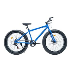 El Mejor Review De Bicicleta Fatbike 8211 Cinco Favoritos