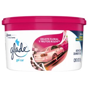 Review De Aromatizante Para Auto Mas Recomendados