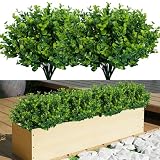 Reviews Y Listado De Oferta Plantas Listamos Los 10 Mejores