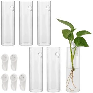 La Mejor Comparativa De Compra De Plantas Para Comprar Hoy