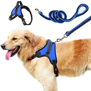 Encuentra La Mejor Seleccion De Accesorios Para Perros Para Comprar Hoy