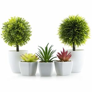Mejores Comprativas On Line Plantas Artificiales Para Oficina De Esta Semana
