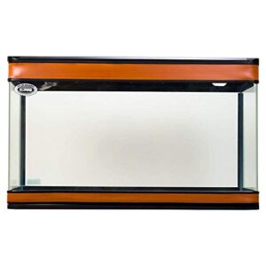 Review De Acuario 200l Los Mejores 5