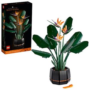 Review De Planta Ave Del Paraiso Precio Disponible En Linea