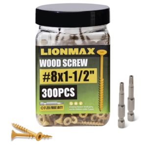 Mejores Precios Y Opiniones De Tornillos Antioxidantes Para Exteriores Top Diez