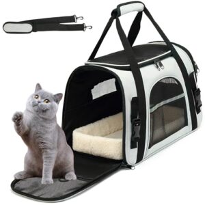 Opiniones Y Reviews De Porta Gatos Para Comprar Hoy