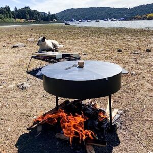 La Mejor Comparacion De Barbacoa Paellera Para Comprar Hoy