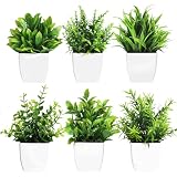 Mejores Precios Y Opiniones De Planta Decorativa Artificial Disponible En Linea