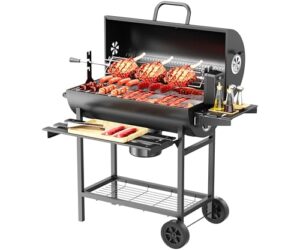 Comparativas De Asadores A Carbon Comprados En Linea