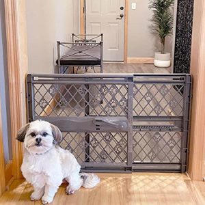 Reviews Y Listado De Cancel Para Perros Top Cinco