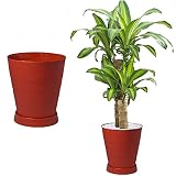 La Mejor Comparacion De Macetas Rojas Disponible En Linea Para Comprar