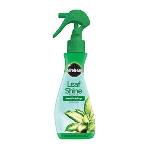 Review De Fertilizantes Miraclegro 8211 Solo Los Mejores