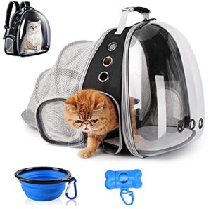 Listado Y Reviews De Productos De Gatos Disponible En Linea Para Comprar