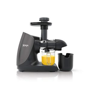 Listado Y Reviews De Exprimidores Con Tecnologia Cold Press Top Diez