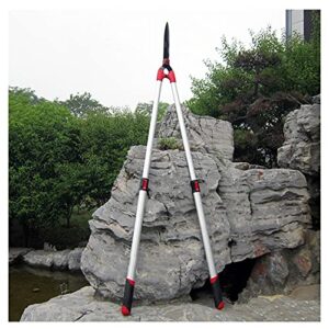 Encuentra Reviews De Cortarramas Telescopicas Para Comprar Online