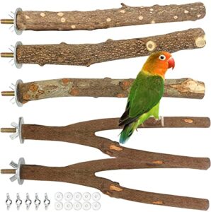 Mejores Precios Y Opiniones De Accesorios Para Aves Los Diez Mejores