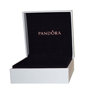 El Mejor Review De Bolsa Regalo Pandora De Esta Semana
