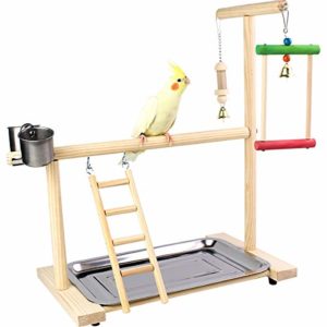 Mejores Precios Y Opiniones De Accesorios Para Aves Los Diez Mejores
