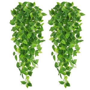 Reviews Y Listado De Oferta Plantas Listamos Los 10 Mejores