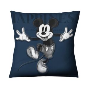 Encuentra Reviews De Cojines Disney Comprados En Linea