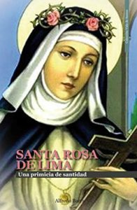 Consejos Y Reviews Para Comprar Santa Rosa Lima Tabla Con Los Diez Mejores