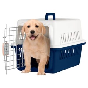 Listado Y Reviews De Jaula Transportadora Para Gatos Al Mejor Precio