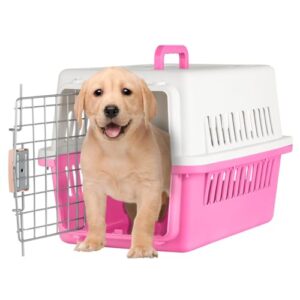 El Mejor Review De Caja De Transporte Para Perros Los Diez Mejores