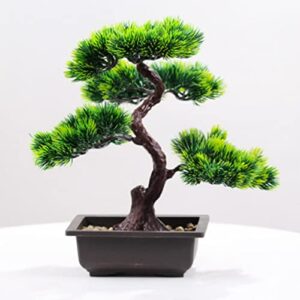 Comparativas De Bonsai Pinos De Esta Semana
