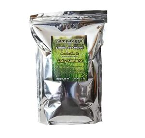 Review De Adoquin Para Pasto 8211 Los Mas Vendidos