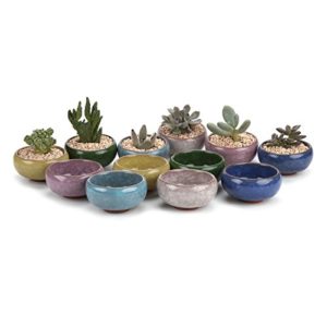 Mejores Precios Y Opiniones De Macetas De Ceramica Baratas Los 7 Mas Buscados