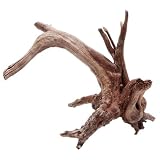 Listado Y Reviews De Tronco Brasil Los Mas Recomendados
