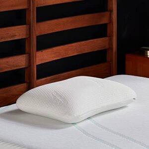 Review De Almohadas Tempur Pedic Disponible En Linea Para Comprar
