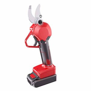 El Mejor Review De Tijeras Podar Electrocoup 8211 Solo Los Mejores