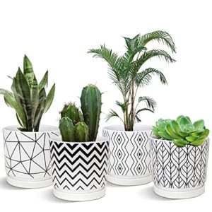 Consejos Y Reviews Para Comprar Macetas Para Jardin Exterior Que Puedes Comprar On Line