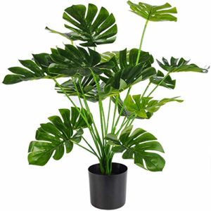 Mejores Precios Y Opiniones De Plantas Artificiales Para Interiores Salas Top Diez