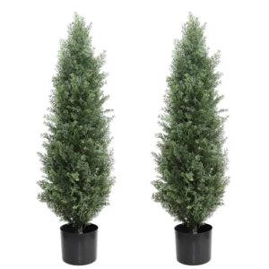 Consejos Y Reviews Para Comprar Arboles Cipres Que Puedes Comprar On Line