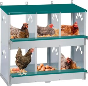 La Mejor Seleccion De Gallina Ponedora Favoritos De Las Personas